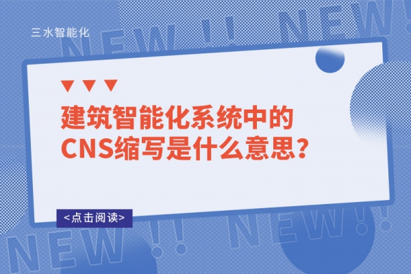 建筑智能化系统中的CNS缩写是什么意思？