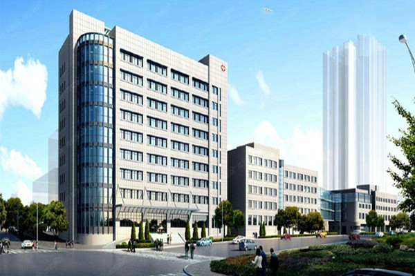 湖北省妇幼保健院楼宇智能化系统项目。